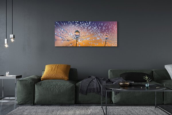 Tablouri canvas Picături păpădie macro