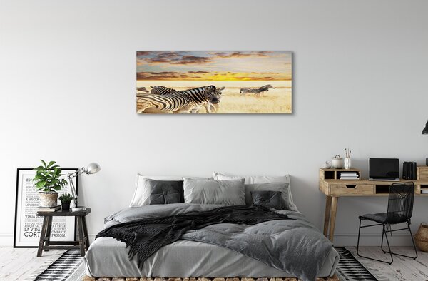 Tablouri canvas Zebre câmp apus de soare