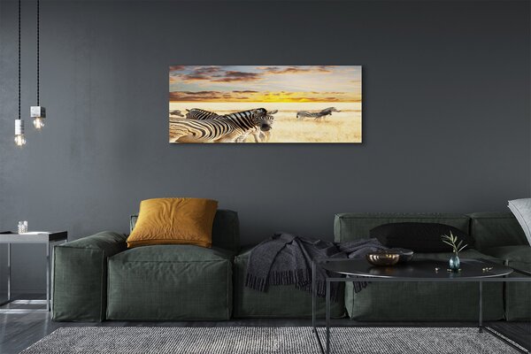 Tablouri canvas Zebre câmp apus de soare