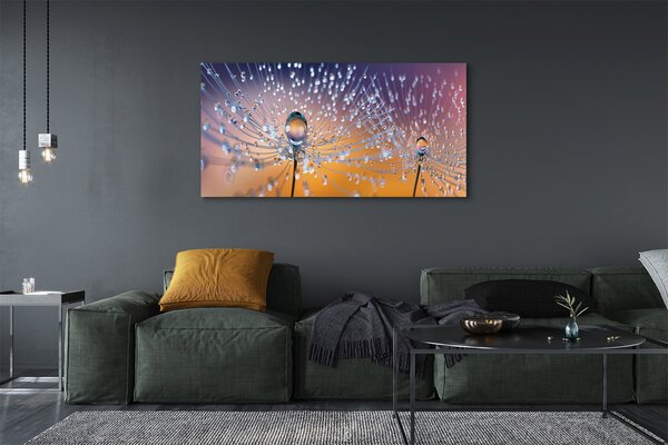 Tablouri canvas Picături păpădie macro