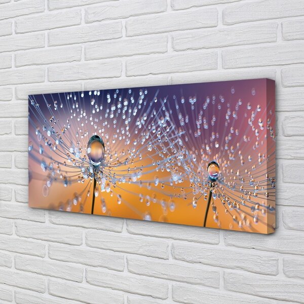 Tablouri canvas Picături păpădie macro