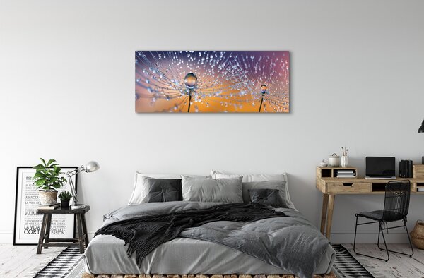 Tablouri canvas Picături păpădie macro