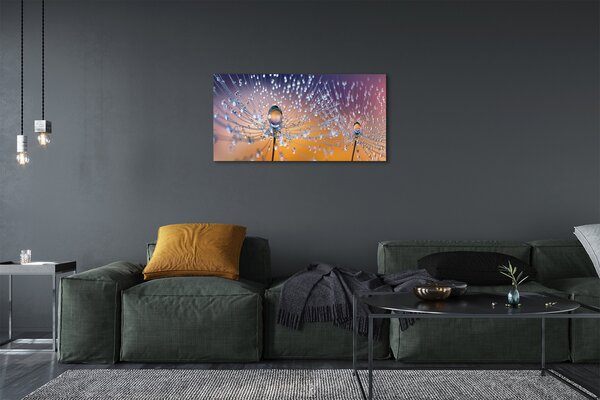 Tablouri canvas Picături păpădie macro