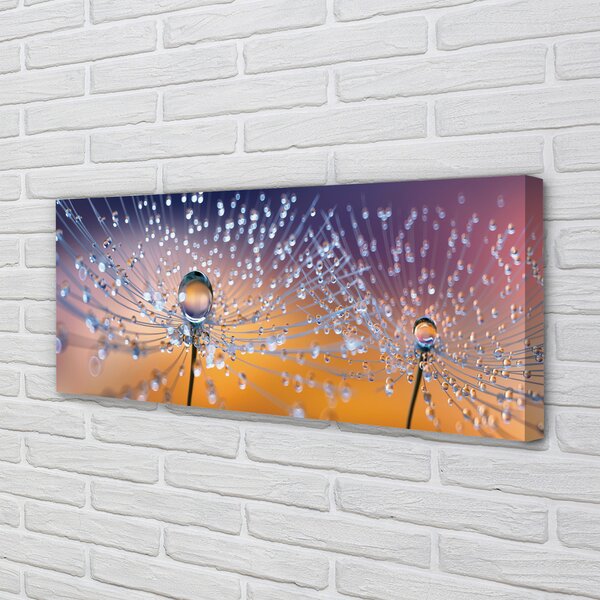 Tablouri canvas Picături păpădie macro