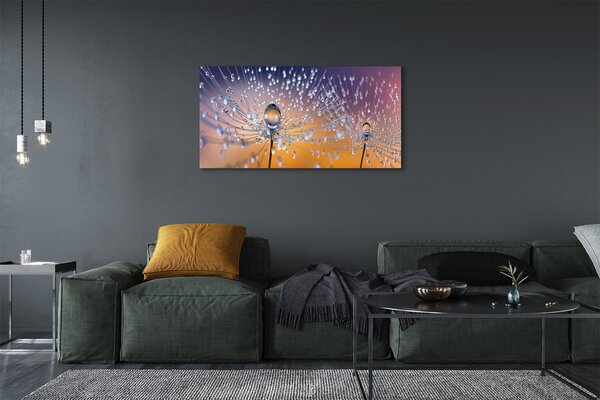 Tablouri canvas Picături păpădie macro