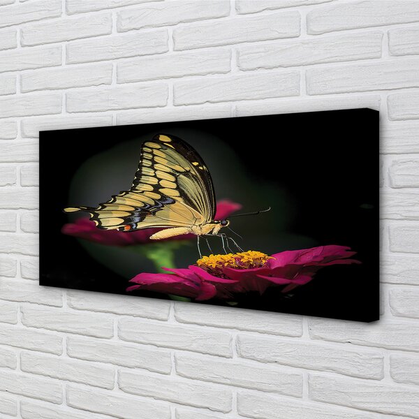 Tablouri canvas Fluture pe o floare