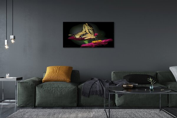 Tablouri canvas Fluture pe o floare
