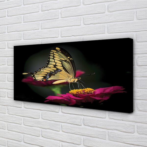 Tablouri canvas Fluture pe o floare