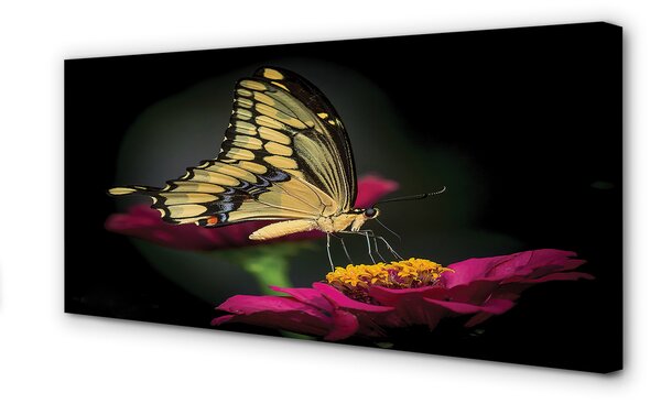 Tablouri canvas Fluture pe o floare
