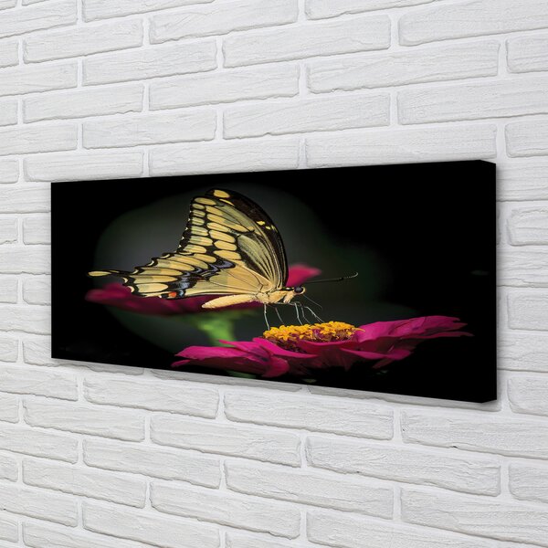 Tablouri canvas Fluture pe o floare