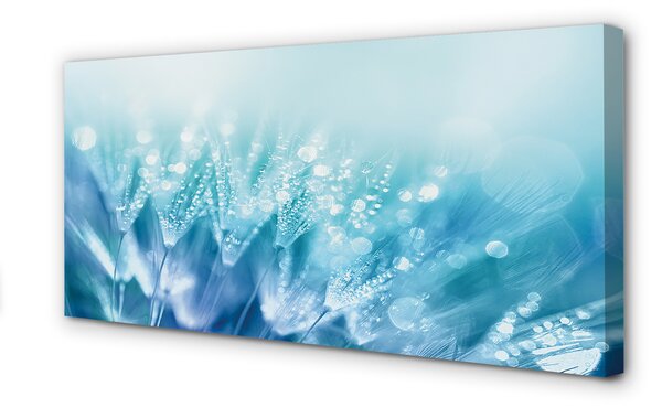 Tablouri canvas Picături păpădia abstracție