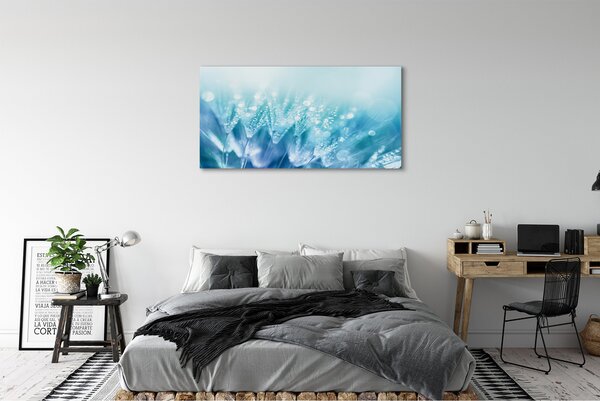 Tablouri canvas Picături păpădia abstracție