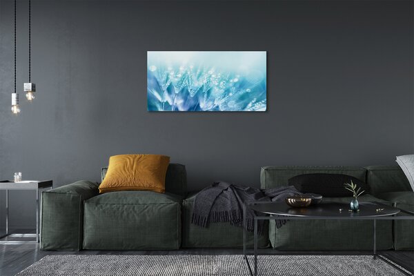 Tablouri canvas Picături păpădia abstracție