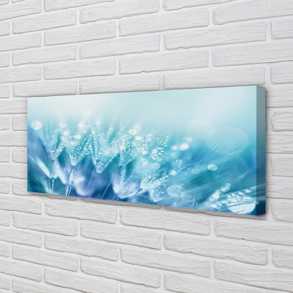 Tablouri canvas Picături păpădia abstracție
