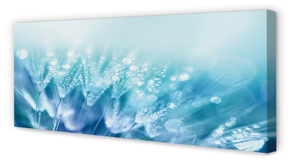 Tablouri canvas Picături păpădia abstracție