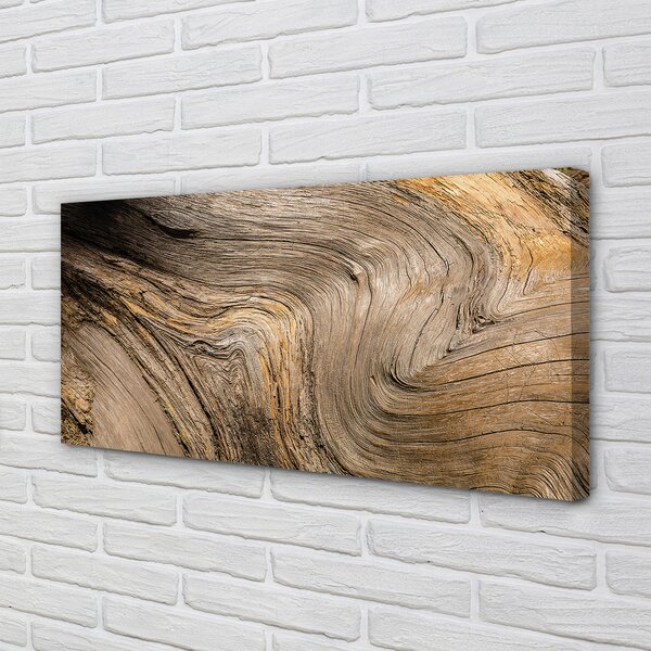 Tablouri canvas Textura de lemn de cereale