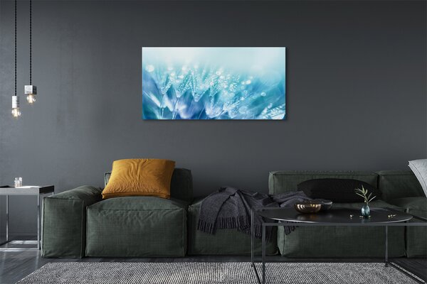 Tablouri canvas Picături păpădia abstracție