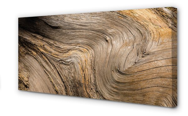 Tablouri canvas Textura de lemn de cereale