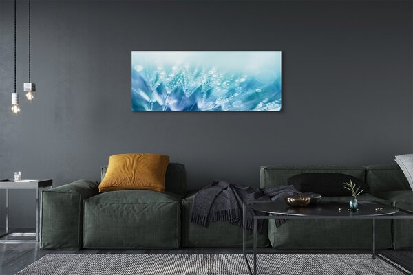 Tablouri canvas Picături păpădia abstracție