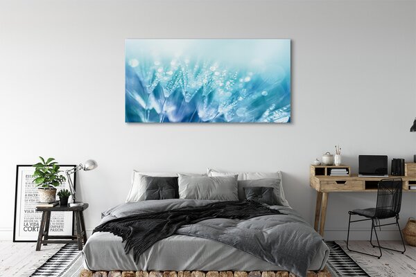 Tablouri canvas Picături păpădia abstracție