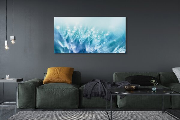 Tablouri canvas Picături păpădia abstracție