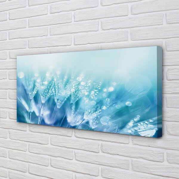 Tablouri canvas Picături păpădia abstracție