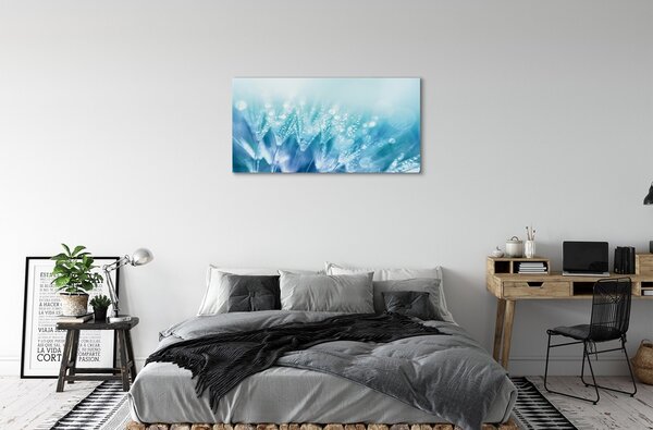 Tablouri canvas Picături păpădia abstracție