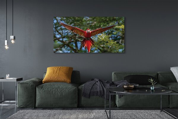 Tablouri canvas Ara papagal