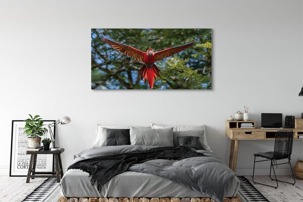 Tablouri canvas Ara papagal