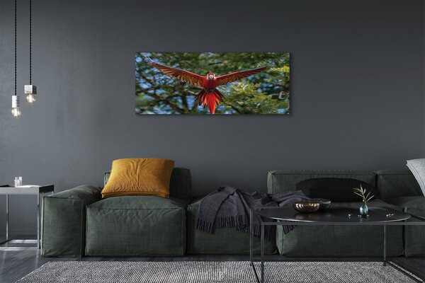 Tablouri canvas Ara papagal
