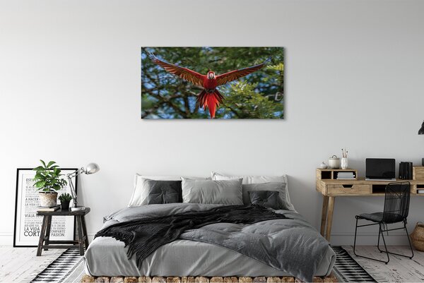 Tablouri canvas Ara papagal