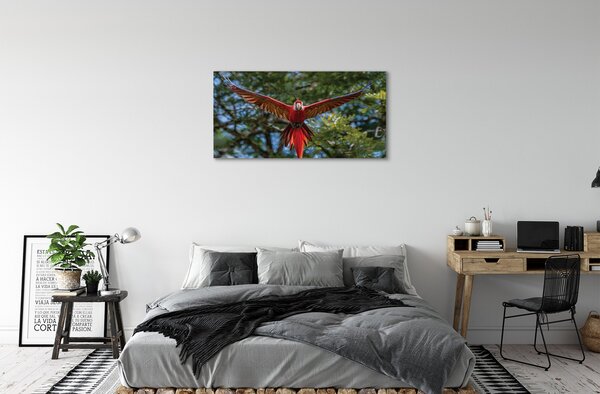 Tablouri canvas Ara papagal