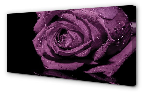 Tablouri canvas trandafir violet