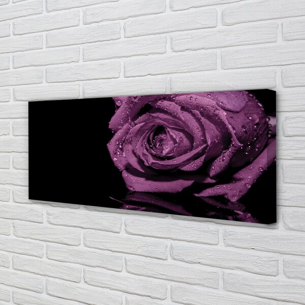 Tablouri canvas trandafir violet