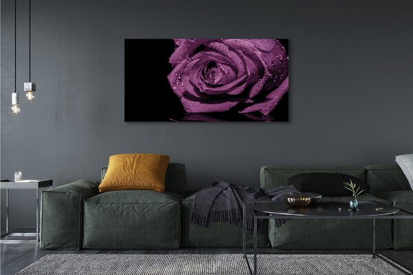 Tablouri canvas trandafir violet