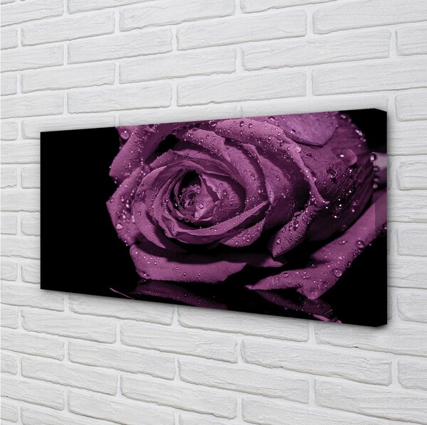 Tablouri canvas trandafir violet