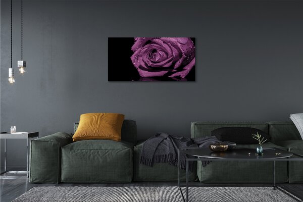 Tablouri canvas trandafir violet