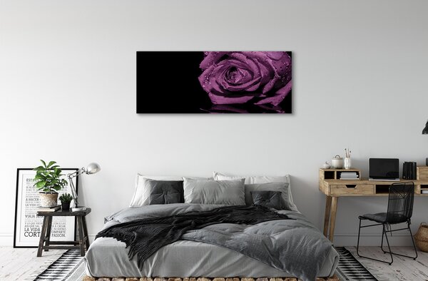 Tablouri canvas trandafir violet