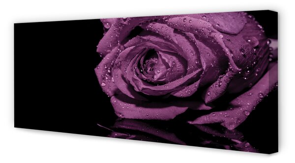 Tablouri canvas trandafir violet