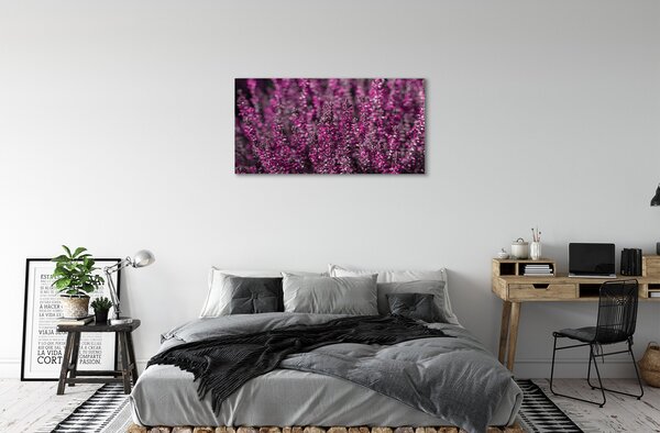Tablouri canvas Heathers câmp
