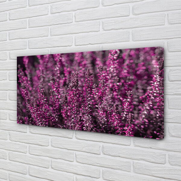 Tablouri canvas Heathers câmp
