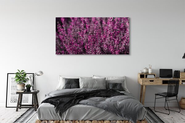 Tablouri canvas Heathers câmp