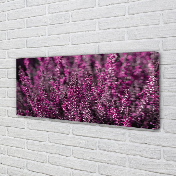 Tablouri canvas Heathers câmp