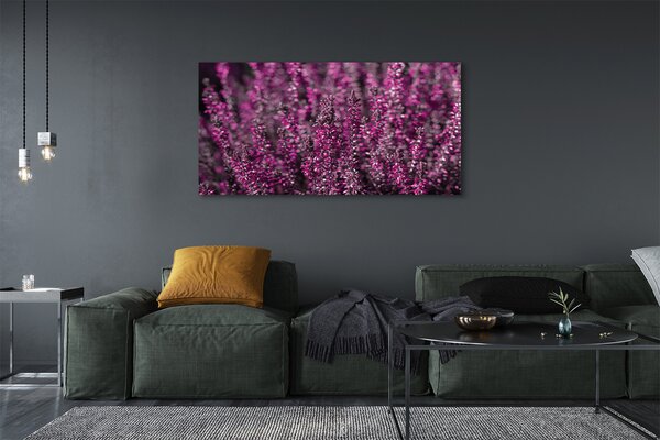 Tablouri canvas Heathers câmp