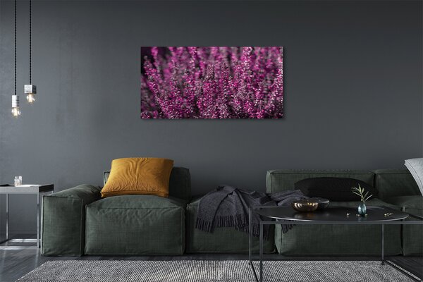Tablouri canvas Heathers câmp