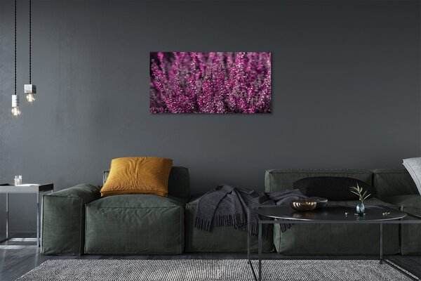 Tablouri canvas Heathers câmp