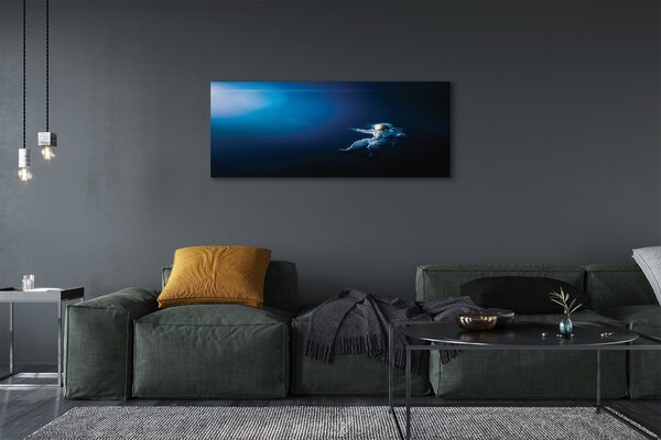 Tablouri canvas astronaut spațiu