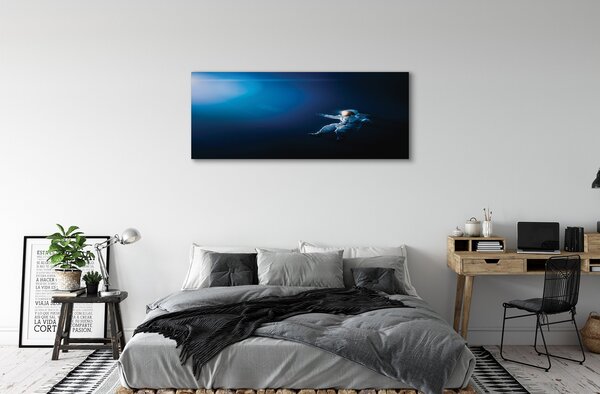 Tablouri canvas astronaut spațiu