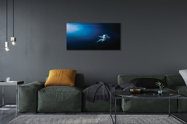 Tablouri canvas astronaut spațiu