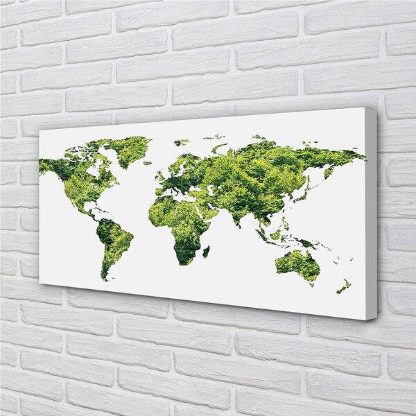 Tablouri canvas Harta de iarbă verde